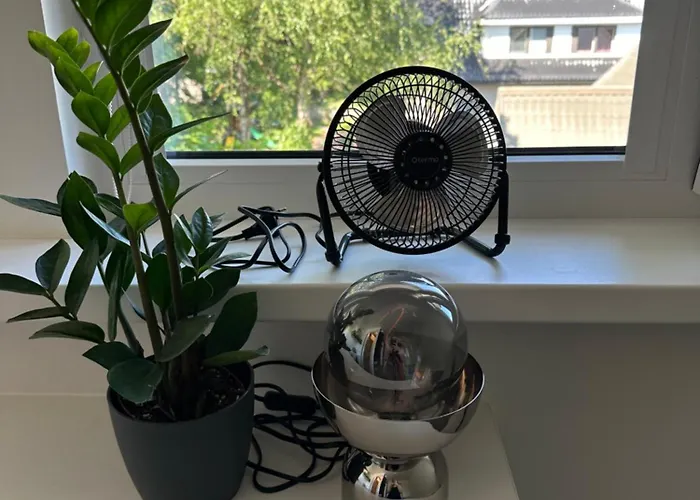 Appartement For One - Grey *